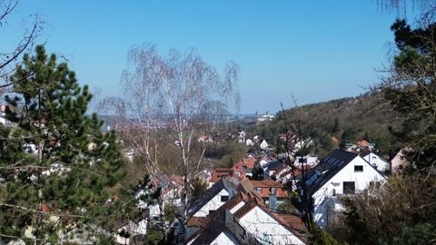 Höchberg Grundstücke, Höchberg Grundstück kaufen