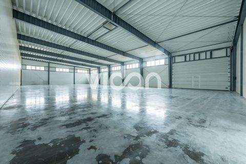 Krefeld Halle, Krefeld Hallenfläche