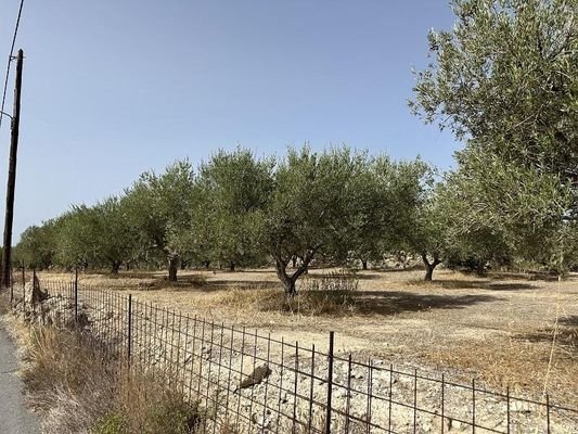 Kreta, Asteri: Grundstück mit Meerblick zu verkaufen