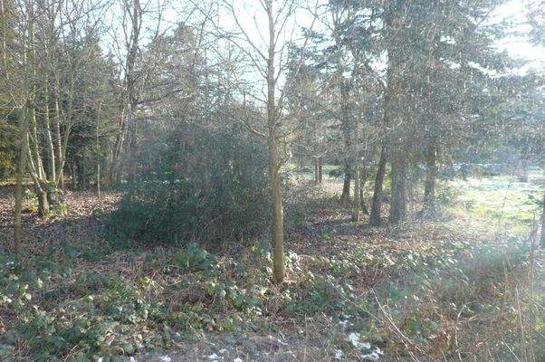 Blick aus dem Wohnbreich