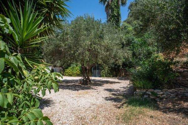Kreta, Xamoudochori: Idyllische Residenz mit Apartments und Olivenhain zu verkaufen