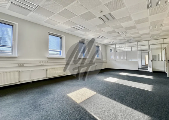 INFOS UNTER: 06171-586000