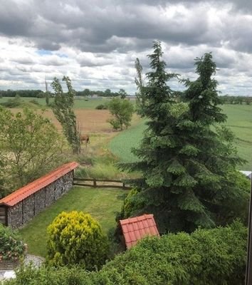 Blick in`s Grüne