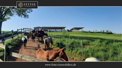 Wartenberg-Rohrbach Bauernhöfe, Landwirtschaft, Wartenberg-Rohrbach Forstwirtschaft
