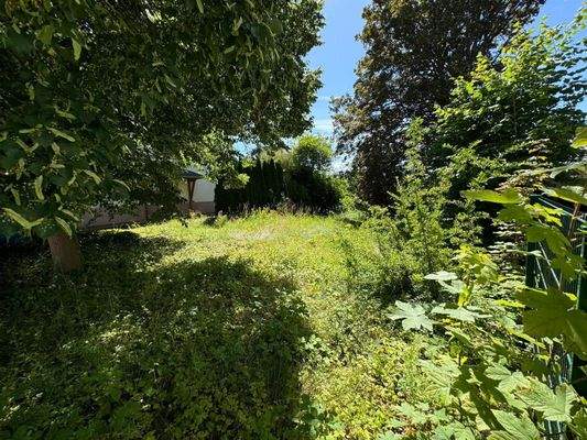 Ansicht Gartenfläche