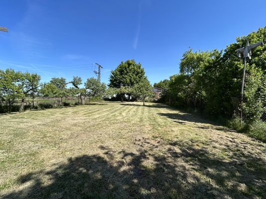 Garten 1