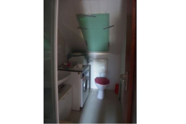 DG WC