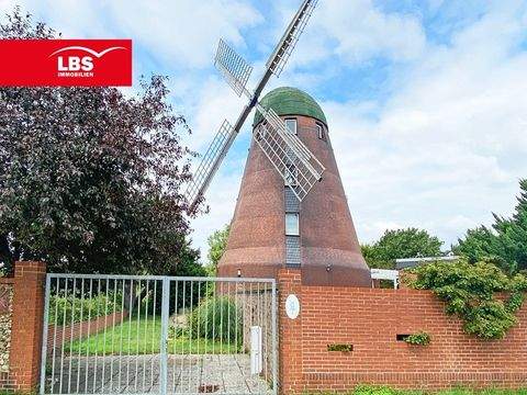 Peine Häuser, Peine Haus kaufen