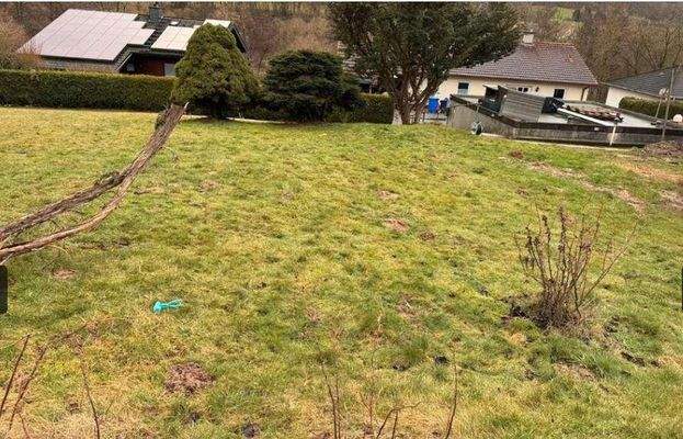 da5b759a-8e05-4312-b0cc-497e98a73d61-1936586497