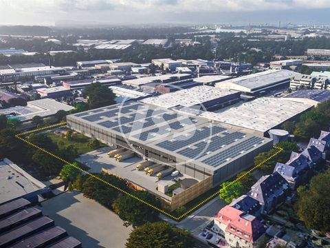 Düsseldorf Halle, Düsseldorf Hallenfläche