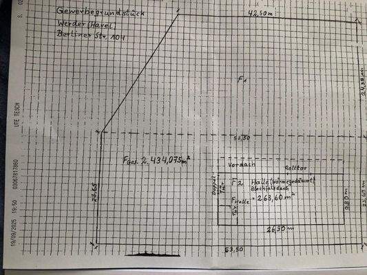 PHOTO-2026-02-19-21-11-45 10.jpg