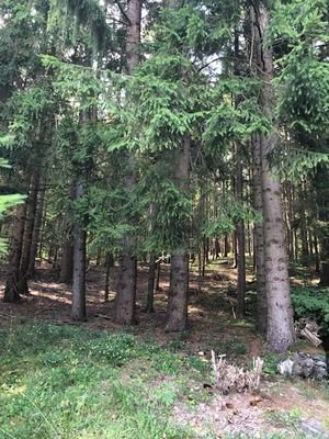 Gartendetail Laube