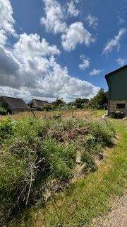 Grundstück Südseite (2).jpg