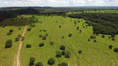 Presidente Figueiredo Grundstücke, Presidente Figueiredo Grundstück kaufen