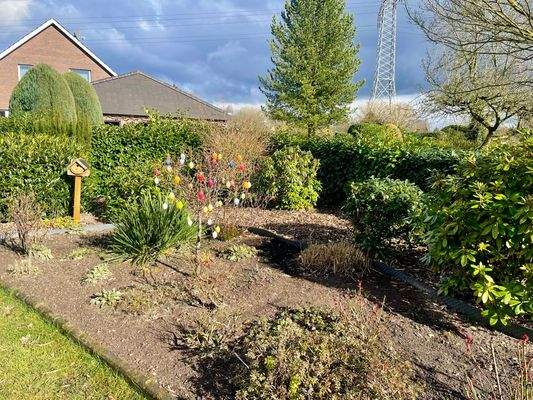 Der vordere Garten