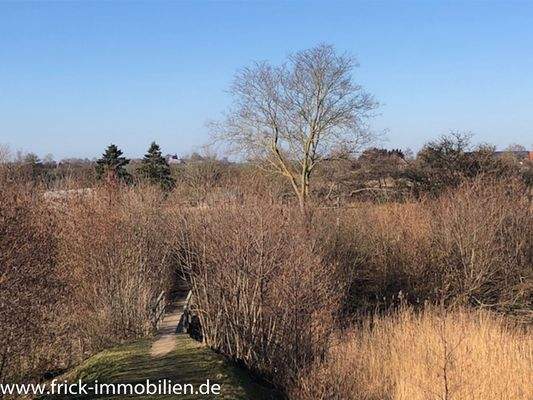 5-Der Weg zum Naturstrand.JPG