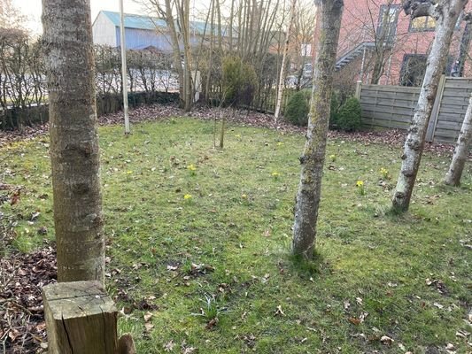 Garten vor dem Haus