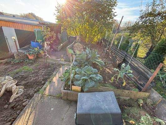 Gartenblick1.jpg