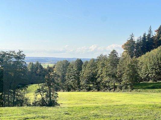 Allgäuer Landschaft