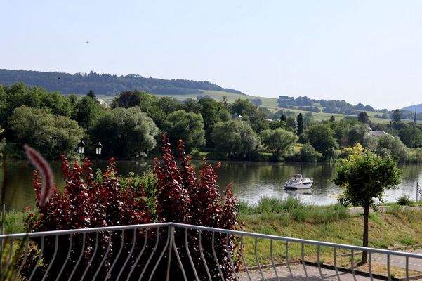 die Mosel im Blick