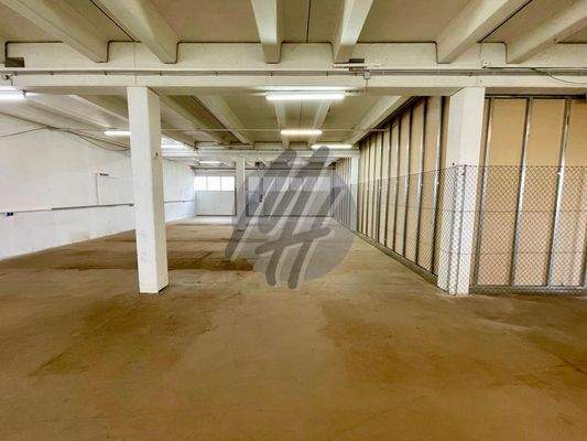 INFOS UNTER: 06171-586000