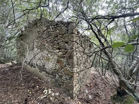 Massa Marittima Grundstücke, Massa Marittima Grundstück kaufen