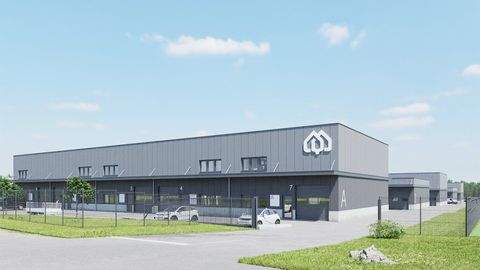 Antau Halle, Antau Hallenfläche