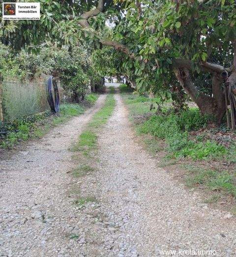 Armeni Bauernhöfe, Landwirtschaft, Armeni Forstwirtschaft