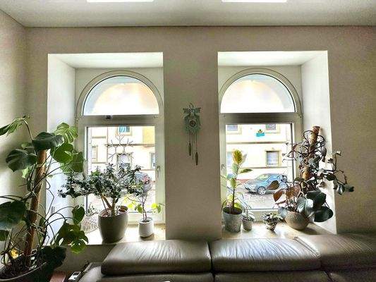 Wohnzimmer Fenster
