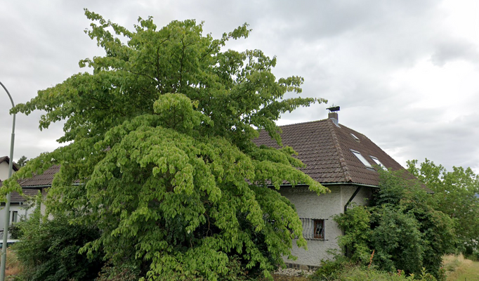 Bildschirmfoto 2025-12-18 um 11.16.50.png