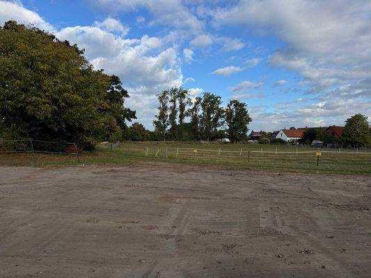 Blick zur Pferdeweide