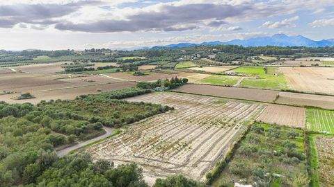 Muro Grundstücke, Muro Grundstück kaufen