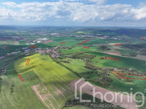 Werra-Suhl-Tal Bauernhöfe, Landwirtschaft, Werra-Suhl-Tal Forstwirtschaft