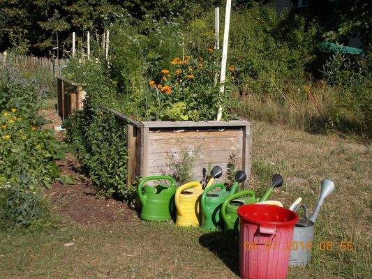 Gemüsegarten