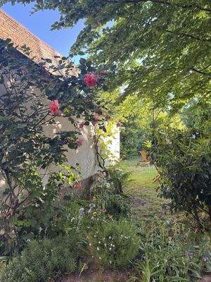 Liebevoll angelegter Garten