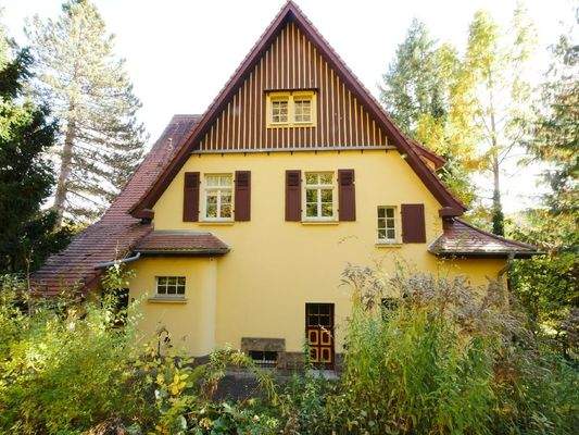  STRASZENSEITE - Kleine NEBENEINGANGSTÜR