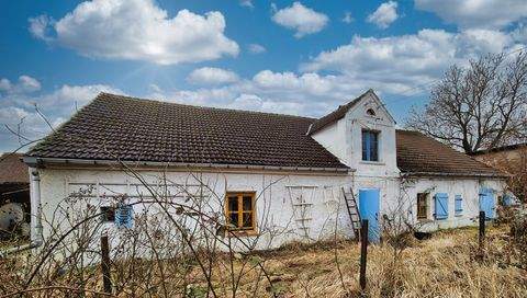 Blesewitz Häuser, Blesewitz Haus kaufen