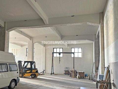 Berlin Halle, Berlin Hallenfläche