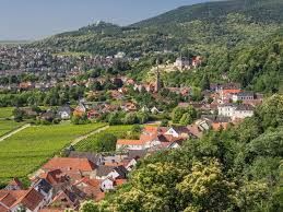 Weinort Haardt - zwischen Wald und Wein