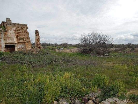 Masseria li Rizzi in Copertino (Lecce)