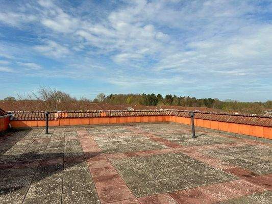 12960 LooseImmo Dachterrasse 