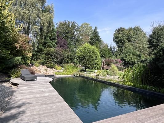 Natur-Schwimmteich mit Holzterrasse