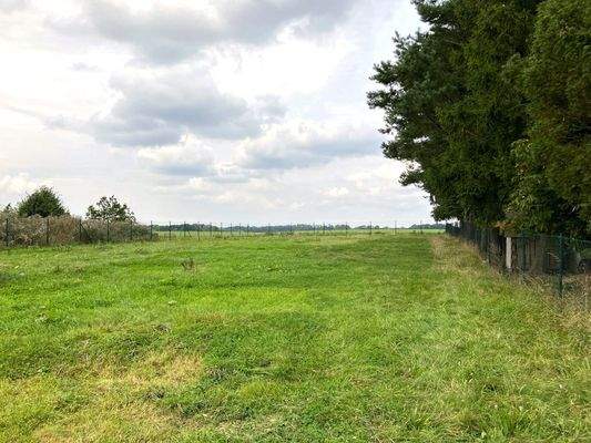 Grünfläche hinterm Haus