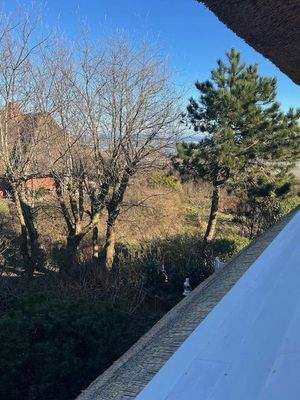 Nord-Ost-Blick im März