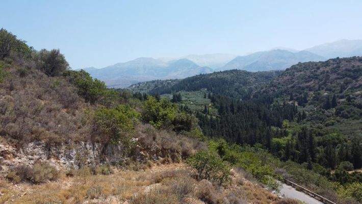 Kreta, Neo Chorio: Grundstück zu verkaufen