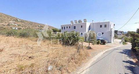 Kato Agios Petros, Andros Bauernhöfe, Landwirtschaft, Kato Agios Petros, Andros Forstwirtschaft