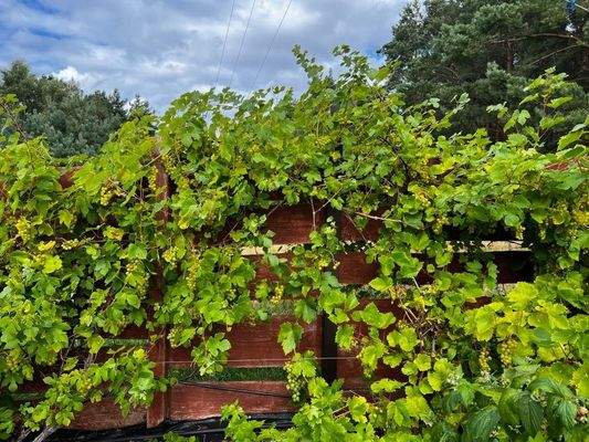 Truemper-Immobilien-Kolczewo-Ferienanlage00025