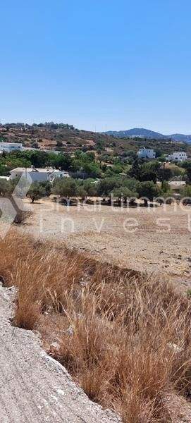 Kokkali, Leros Bauernhöfe, Landwirtschaft, Kokkali, Leros Forstwirtschaft