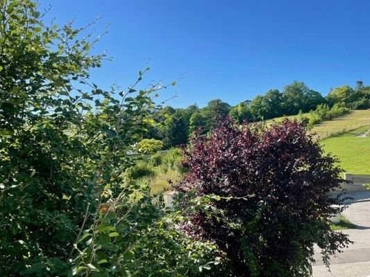 Fernblick
