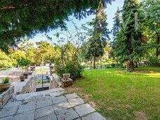 33786115_226795516_m